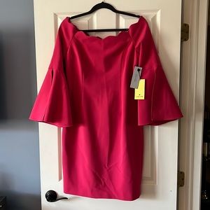 Teri Jon rickie freeman dress.